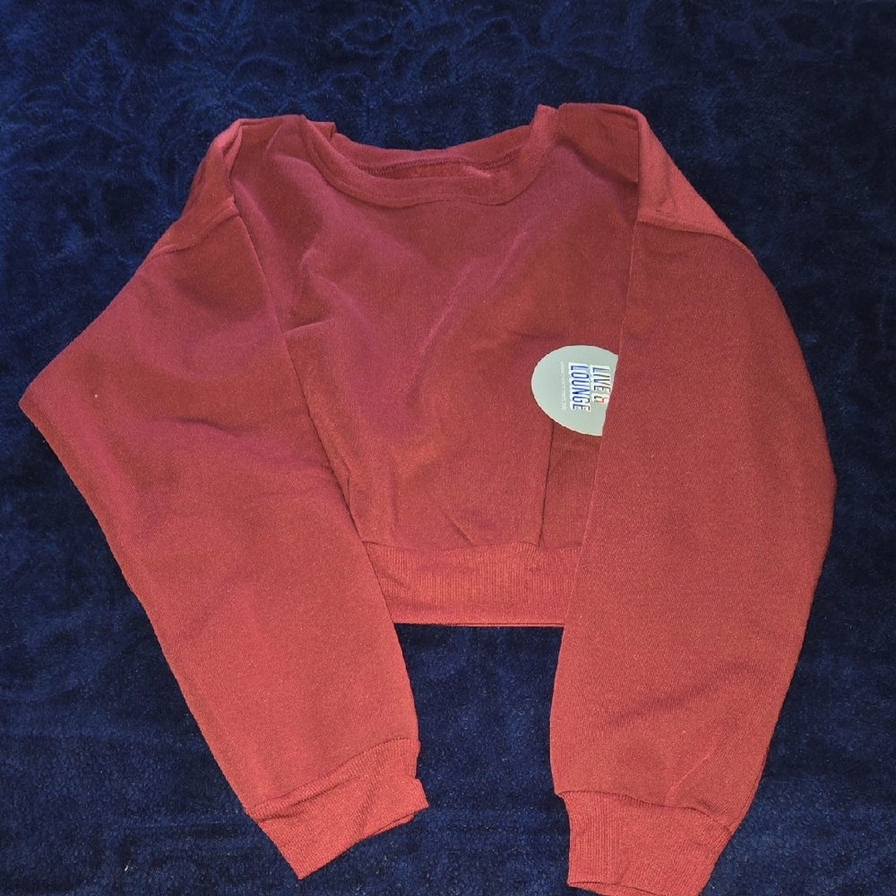 Red Cropped Sweatshirt